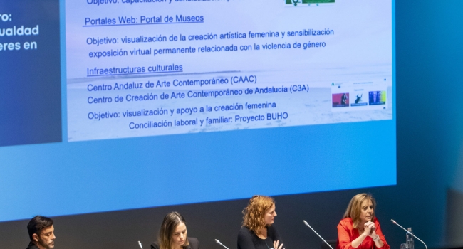 Conferencia Internacional de Economía y Presupuesto público para la igualdad de oportunidades entre hombres y mujeres 257